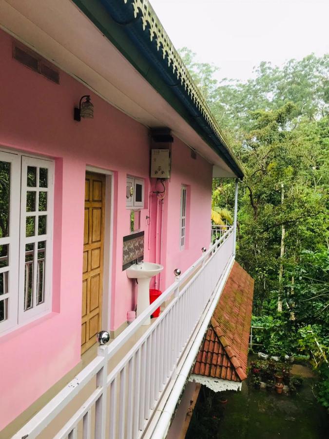 Drizzle Valley Cottage 蒙纳 外观 照片