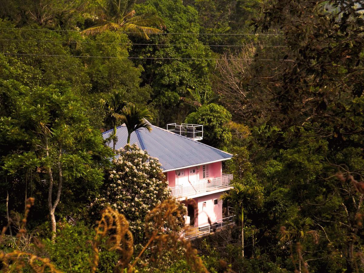 Drizzle Valley Cottage 蒙纳 外观 照片